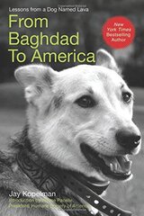 From Baghdad to America: Life After War For A Marine and His Rescued Dog